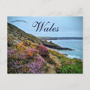 Heather in Pembrokeshire Wales Postcard