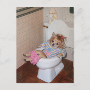 Heather-Lynn’s Retro Chihuahua Potty Triumph Postcard
