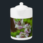 Heather Spring flower evergreen bloom purple white<br><div class="desc">Heather Spring flower evergreen bloom purple white green Briar pretty photograph</div>