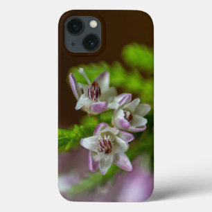 Heather Spring flower evergreen bloom purple white iPhone 13 Case