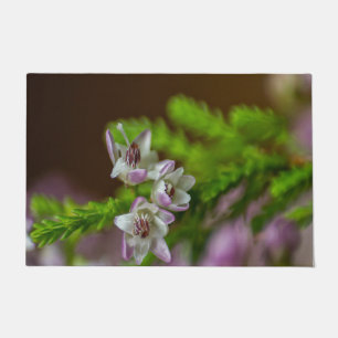 Heather Spring flower evergreen bloom purple white Doormat