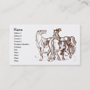 heathershorses, Name, Address 1, Address 2, Con... Business Card
