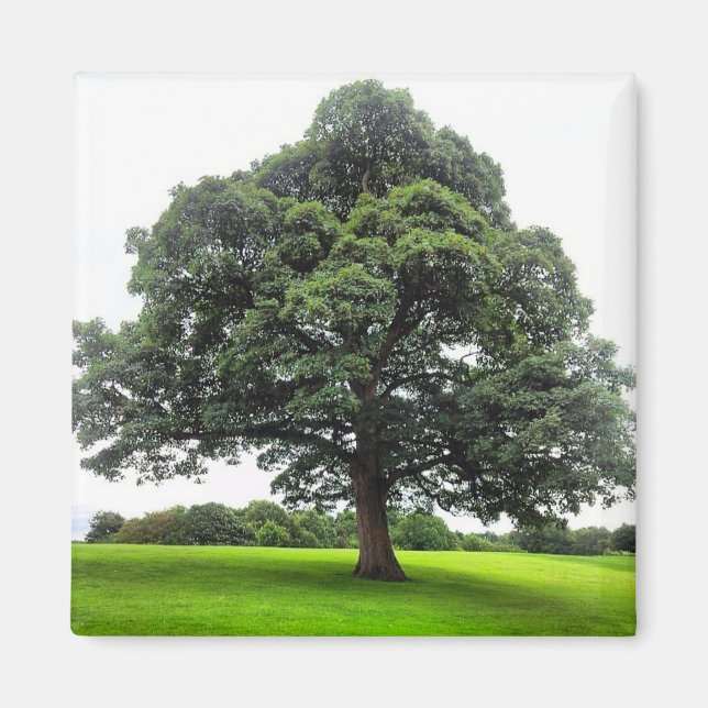 Heaton Park Magnet (Front)