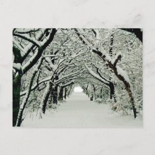 Heaton Park, Manchester Postcard