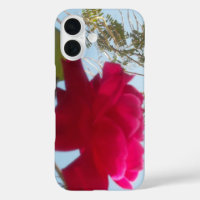 Heavenly Bloom | A Red Rose Against the Blue Sky