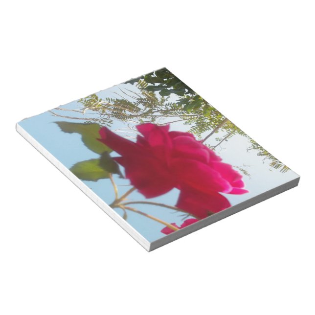 Heavenly Bloom: A Rose Against the Sky Notepad (Angled)
