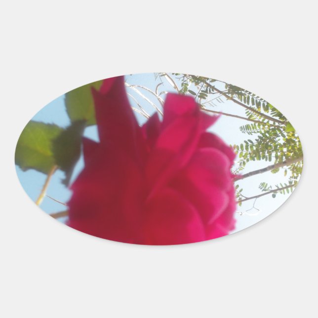 Heavenly Bloom: A Rose Against the Sky Oval Sticker (Front)