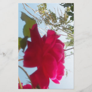 Heavenly Bloom: A Rose Against the Sky Stationery
