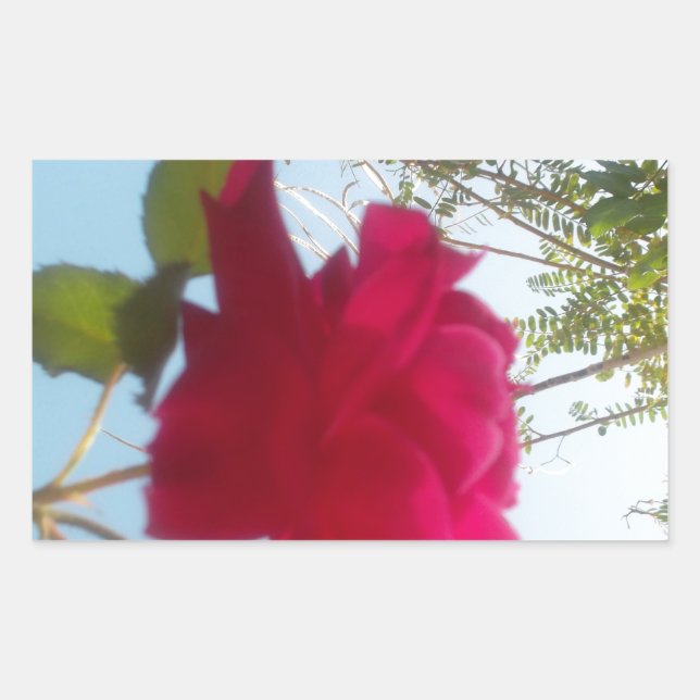 Heavenly Bloom: A Rose Against the Sky Sticker (Front)