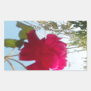 Heavenly Bloom: A Rose Against the Sky Sticker
