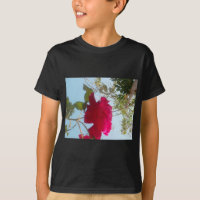 Heavenly Bloom: A Rose Against the Sky