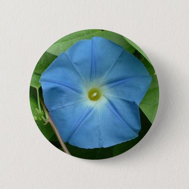 Heavenly Blue Morning Glory 2 Inch Round Button (Front)