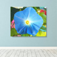 Heavenly Blue Morning Glory Canvas Art