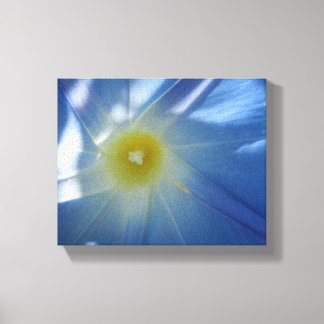 Heavenly Blue Morning Glory Canvas Print
