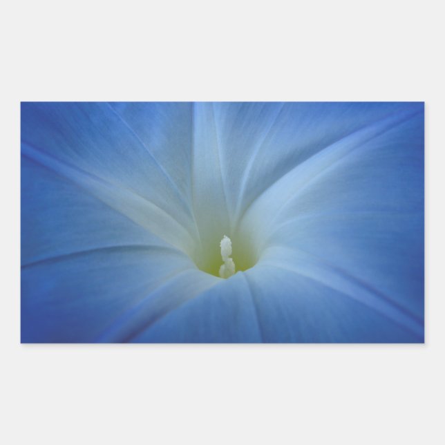 Heavenly Blue Morning Glory Close-Up Photo Sticker (Front)