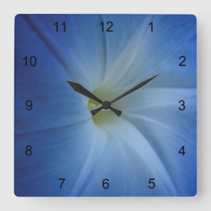 Heavenly Blue Morning Glory Flower Photo Square Wall Clock