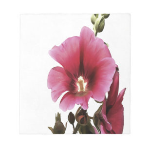 Heavenly Pink Hollyhock Malva Flower Floral Notepad