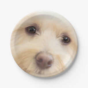 Heavenly Pup Paper Plates