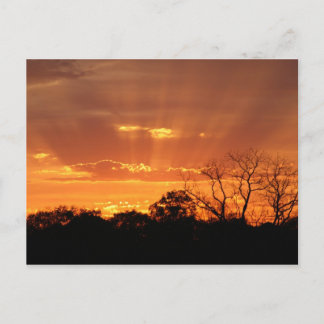 "heavenly sunset" by Coressel Productions Postcard