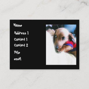 heavenlypuppy, Name, Address 1, Contact 1, Cont... Business Card