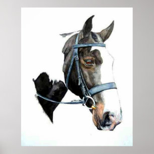 Heavy Hunter Horse Portrait Poster Print