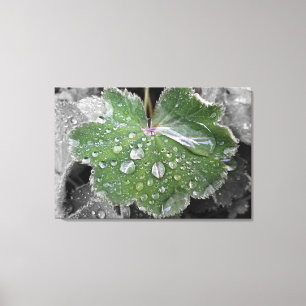 heavy rain canvas print