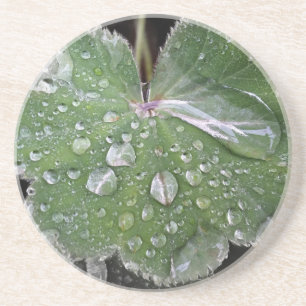 heavy rain coaster