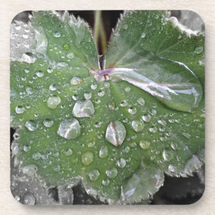 heavy rain coaster