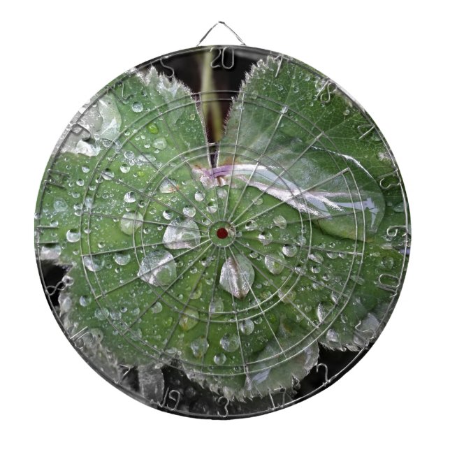 heavy rain dartboard (Front)