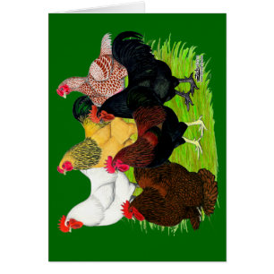 Heavy Rooster Assortment