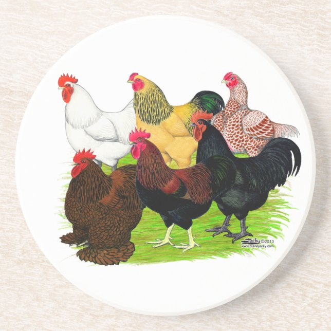 Heavy Rooster Assortment Coaster (Front)