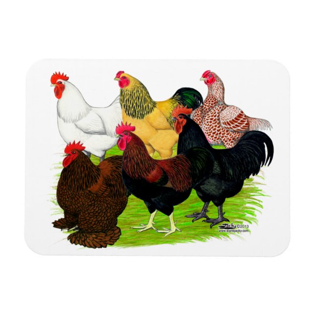 Heavy Rooster Assortment Magnet (Horizontal)