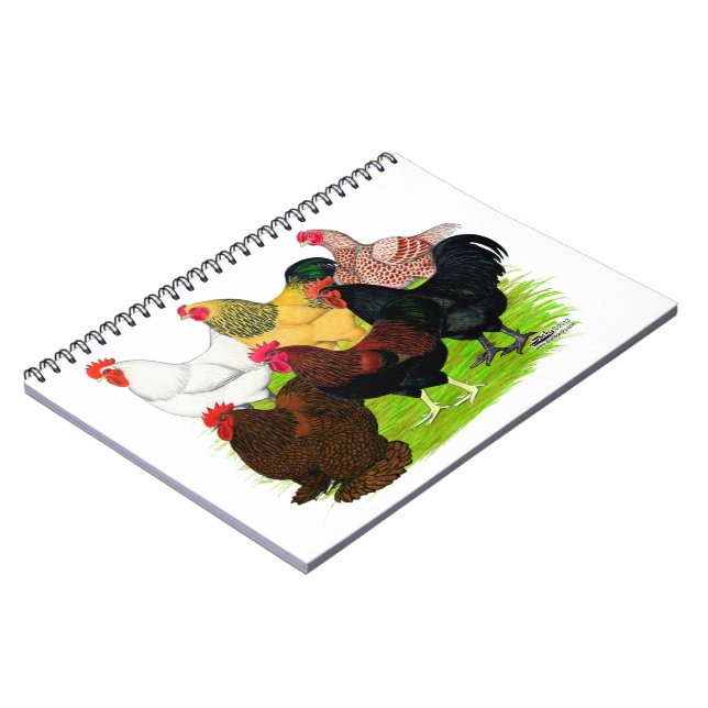 Heavy Rooster Assortment Notebook (Left Side)