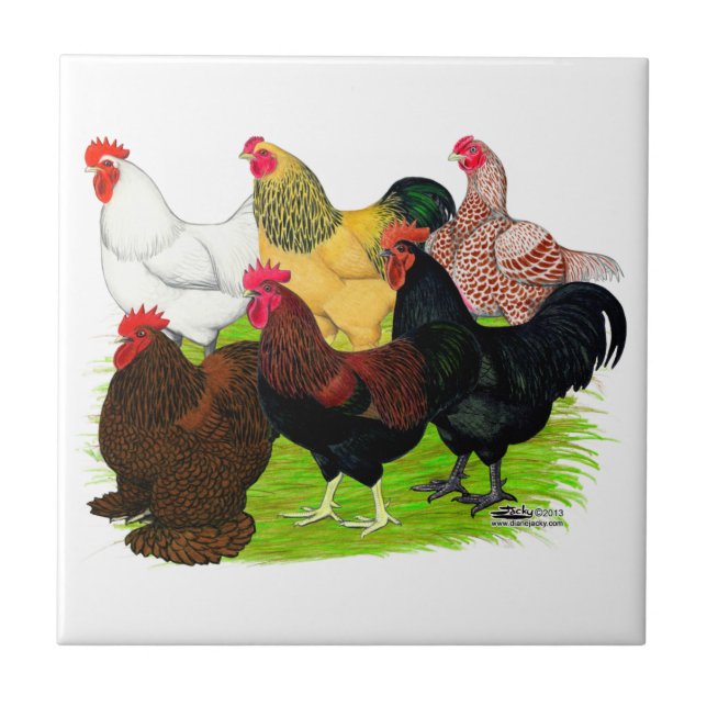 Heavy Rooster Assortment Tile (Front)