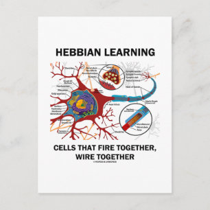 Hebbian Learning Cells Fire Together Wire Together Postcard