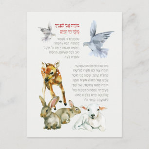 Hebrew Modeh Ani Morning Prayer Jewish Children Postcard