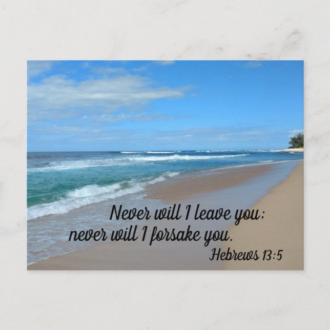 Hebrews 13:5 Never will I leave you; never will I  Postcard (Front)