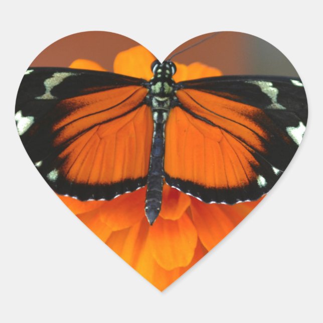 Hecale Longwing Butterfly Heart Sticker (Front)