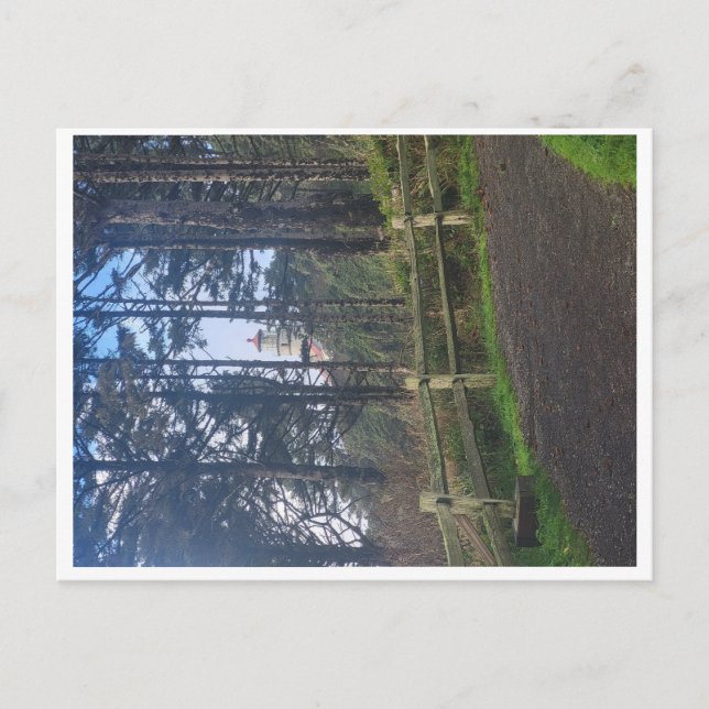 Heceta head lighthouse from trail postcard (Front)