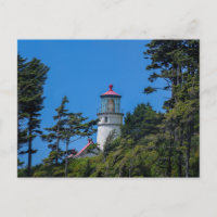 Heceta Head Lighthouse | Oregon Coast | Postcard