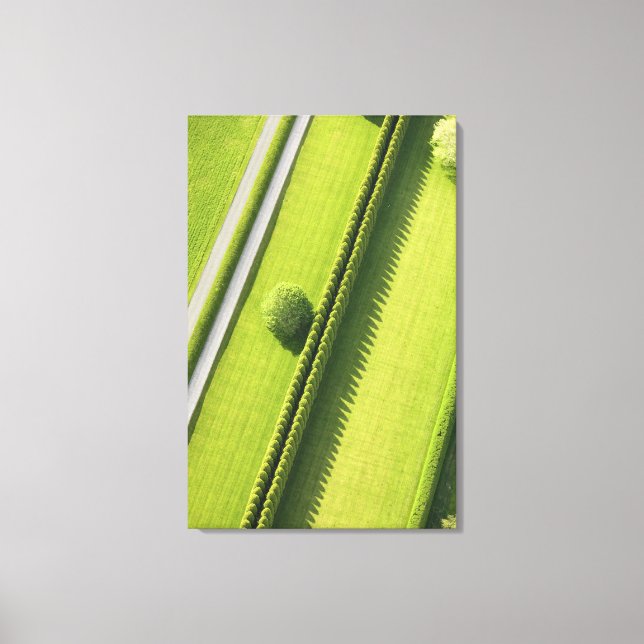 Hedge in The Hamptons Canvas Print (Front)