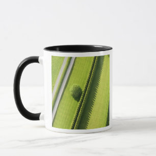 Hedge in The Hamptons Mug