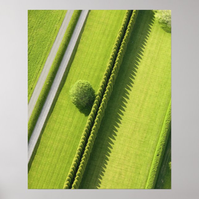 Hedge in The Hamptons Poster (Front)