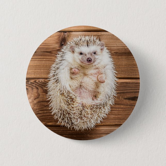 Hedgehog 2 Inch Round Button (Front)
