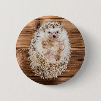 Hedgehog 2 Inch Round Button