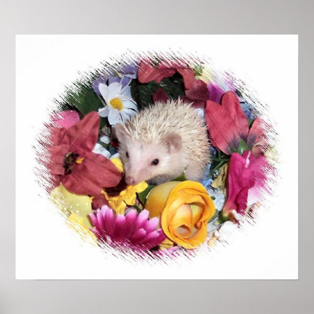 Hedgehog among the flowers poster (Front)