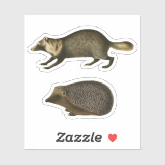 Hedgehog and Marten Realistic Vintage Illustration