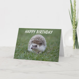 hedgehog birthday card