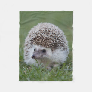 Hedgehog blanket
