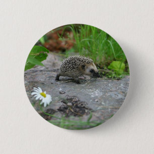 Hedgehog button - customizable